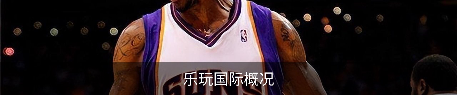 乐玩国际概况