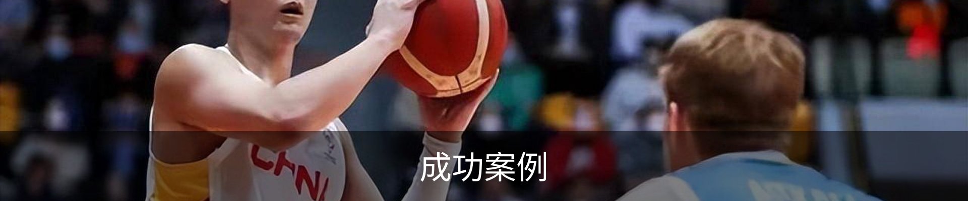 成功案例